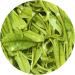 GOARTEA Th Vert - 100g (3.5 Oz) Premium Anji An ji Bai Pian White Slice Loose Spring Leaf Chinese GREEN TEA VERT - Buy Online on GoSupps.com