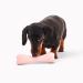Beco Natural Rubber Chew Bone Dog Toy with Treat Hole - Green - Buy Online on GoSupps.com