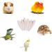 Vaceer 6Pcs Bird Cuttlebone Chew Toys for Budgies, Parrots, and Tortoises - 11-13cm - Buy Online on GoSupps.com