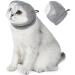 WeiLaiKeQi Cat Mouth Mask Cat Mouth Muzzle Lightweight Multifunction Cat Grooming Tool Pet Supplies Kitten Mask Cat Face S - Buy Online on GoSupps.com