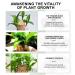 Brazilian Wood Plant Food Lucky Bamboo Liquid Fertilizer Lucky Brazilian Wood Houseplant Fertilizer Brazilian Wood Flowering Special Nutrient Solution (2pcs) - Buy Online on GoSupps.com