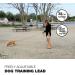 Loutep 30M Dog Training Lead - 100ft Durable Nylon Leash with Padded Handle & Heavy-Duty Swivel Hook - Ideal for Pet Obedience 10m Orange - Buy Online on GoSupps.com