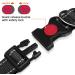 Taglory Adjustable Reflective Dog Collar for Small Dogs - Soft Padded Neoprene Nylon Ideal for Training Black (1 Pack) - Buy Online on GoSupps.com