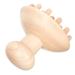 Hapinary 1stk Massagekamm from Wood Shampoo Children Hairw scher Health Wellness Children's Shampoo Hand massager Glothing Head comb Massagekamm for home face tools wooden comb beech
