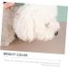 Homoyoyo Peigne Pour Chien Et Chaton Peigne D m lant Dents Fines Portable Et Pratique - Buy Online on GoSupps.com