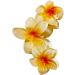 Lily Brown Soft Hairpin Comfortable Hair Clip Unique Flower Hair Barrettes Hair Clips Flower Hair Claw Clip Stylish Hair Claw Anniversary Pink - Buy Online on GoSupps.com