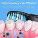 10 Pack FairyWill Replacement Brush Heads for FW-507/508/551/515/917/959 FW-D1/D3/D7/D8 Electric Toothbrushes - Black - Buy Online on GoSupps.com