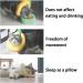JVHLOV Cat Recovery Collar Adjustable Cat Cone Collar Cute Post-Surgery Neck Cone Protective Wound Healing Elizabethan Collars Soft Cat Cones After Surgery for Cats Kittens - Buy Online on GoSupps.com