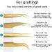 Grafted Eyelash Tweezers High-Precision Flowering Tweezers Multi-Functional False Eyelashes Tweezers Tool Special Tweezers for Eyelashes 4 Styles (Peacock Clip) - Buy Online on GoSupps.com