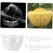 GANAZONO 2pcs Plastic Fruit Mini Watermelon Clear Fruit Transparent Forming Mold Shaper Pumpkin Support Frame - Buy Online on GoSupps.com
