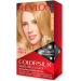Revlon 939-89745 Colorsilk Dye - 600 ml - Buy Online on GoSupps.com