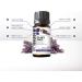 SenseLAB Clary Sage Essential Oil - 100% Pure Therapeutic Grade Oil for Diffuser, Humidifier, and Hair Care - Soothing Mood Balance Oil - 10ml - Buy Online on GoSupps.com