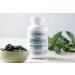BioOptimal Organic Spirulina Tablets - 100% USDA Organic, Premium Quality, 4 Certifications, Non-GMO - 120 Count (Pack of 1) - Buy Online on GoSupps.com