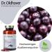 Dr. Oldhaver Acai Intensive - Highly Concentrated Acai Berry Capsules (120) with Green Tea Extract & Vitamin C | Gluten & Lactose Free for Energy Metabolism - Buy Online on GoSupps.com