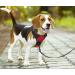 Buy POPOT No Pull Dog Harness - Reflective Front Vest for Daily Training Walking & Running | Red XL - Buy Online on GoSupps.com