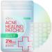 BIORICA Pimple Patches for Face, Hydrocolloid Acne Patches for Acne Treatment, Pimple Patch for all skin types, Hydrocolloid Acne Patches for face, Zit Patch (216 Tea Tree)