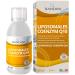 Bandini Coenzyme Q10 |High dose with 200mg Coenzyme Q10 per daily dose (10ml) |High quality (vegan) from fermentation of corn |Without unwanted additives laboratory test |Stock for 4 months