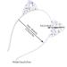 AWAYTR Crystal Cat Ears Hair Hoop Headband - Floral Hair Accessories for Women and Girls | Perfect Christmas Gift - Buy Online on GoSupps.com