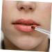 Minkissy Bulk Lip Gloss Set | Travel Lipstick Brush & Applicator | Eyebrow & Eye Shadow Brushes | Glossy Lip Makeup Tools - Buy Online on GoSupps.com
