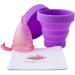 Menstrual Cup Sterilizer (Purple) | Eco-Friendly & Efficient | Shop Internationally - Buy Online on GoSupps.com