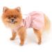 SMALLLEE_LUCKY_STORE Angel Wing Girls Dog Harness Dress and Leash Set Cat Sundress with D-ring Puppy Skirt Spring Summer Clothes for Small Pets Yorkie Chihuahua Pink M M pink - Buy Online on GoSupps.com