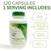 Youngevity Ultimate Cal 120 Capsules - Supports Bone Health - 1 Bottle - Buy Online on GoSupps.com