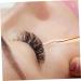 Balacoo 2pcs Eyelash Curler & Nipper | Stainless Steel Eyelash Clamp for Lash Extensions & False Lashes - International Shipping Available - Buy Online on GoSupps.com