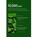 BEAUTYDRAMA Nano CICA Medi Toner 200Ml/6.76fl.oz - Korean Skin Care - Buy Online on GoSupps.com