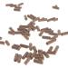 SUCHUANGUANG Fish Food Aquarium Fish Feeder Crystal Shrimp Algae Feeding Natural Nutrition Vitamin Health Growth Jigging Hook - Buy Online on GoSupps.com