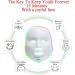 7 Colors LED Light Face Mask FAZJEUNE Face Facial Mask Skin Care LED Mask Facial Care Mask Wrinkle Removal Facial Acne Treatment Beauty Photon Skin Rejuvenation Skin Tightening - Buy Online on GoSupps.com