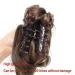Short Wavy Ponytail Extensions - 40cm Synthetic Claw Ponytail in Brown Black | 16 Inches Ladies Wig - 90g - Buy Online on GoSupps.com