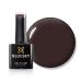 Bluesky Gel Nail Polish 10ml Divinity - AW2317 Brown Soak-Off Gel Polish for 21 Day Manicure Professional Salon & Home Use Requires Curing Under UV/LED Lamp