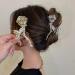 Claws Clips Hair Accessories Gold and Silver Roses Pearl Rhinestone Hairpin Ladies Alloy Shark Clip Female Hair Accessories TS5181-2 (Color : TS5181 3) TS5181 3 (Color : TS 3183 2) - Buy Online on GoSupps.com