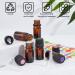 Benecreat 24 Pack 5ml Amber Glass Bottles | Refillable Essential Oil Bottles with Droppers Funnels & Labels - Perfect for DIY & Aromatherapy - Buy Online on GoSupps.com