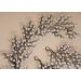 JWICOS Pearl Bridal Hair Accessories Set for Wedding Party - Headband, Earrings & Hair Vine - Buy Online on GoSupps.com