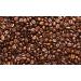 The Espressocist - Medium Traditional Espresso Roast - 340 Grams - Buy Online on GoSupps.com