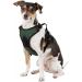 NCAA Oregon Ducks Pet Harness - Medium, Team Color | Littlearth Unisex-Adult - Buy Online on GoSupps.com