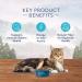 Blue Buffalo Wilderness High Protein Grain Free Natural Mature Dry Cat Food Chicken 2.2kg bag - Medium Bag kibble Small Bag Mature - Buy Online on GoSupps.com