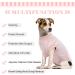 Breathable Hjumarayan Dog Body - Medical Castration Suit for Small to Large Dogs | Pink OP Body for Recovery & Comfort - Buy Online on GoSupps.com