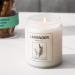 Lavender and Sage Soy Candles - 7 oz Mason Jar Aromatherapy Set for Energy Cleansing and Stress Relief - 50 Hrs Burn Time - Ideal Gifts for Women - Buy Online on GoSupps.com