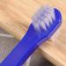12-Pack Double Sided Toothbrush & Denture Cleaning Brush - Perfect for False Teeth Care | Healeved - Buy Online on GoSupps.com