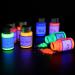 8 Color UV Fluorescent Powder Set - Neon Glow Pigment for Paint, Slime, Nails, Resin, DIY - 10g Each (Total 2.8oz) - Buy Online on GoSupps.com