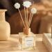 210 Pieces Natural Aroma Reed Diffuser Sticks - 24cm Rattan Fragrance Sticks Refill Pack with Decorative Balls for Essential Oils - Ideal for Room Fragrance - Buy Online on GoSupps.com