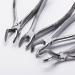 QNMM DISCH TIME 10PC Tooth Extraction Tongs Set for Dentists | Surgical Tooth Extraction Instruments for Adults - Buy Online on GoSupps.com