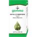 UNDA Gemmo Therapy Betula Pubescens | Birch Bud Extract | 4.2 fl. oz.