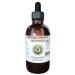 Lady's Mantle Alcohol-Free Liquid Extract Organic Lady's Mantle (Alchemilla vulgaris) Dried Herb Glycerite Hawaii Pharm Natural Herbal Supplement 4 oz 4 Fl Oz (Pack of 1)