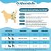 Slowton Washable Dog Diapers for Bitches - Soft High-Suction Eco-Friendly Adjustable Heat Pants for Incontinence & Heat - 3 Pack (Size M) - Buy Online on GoSupps.com