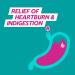 Gaviscon Double Action Heartburn and Indigestion Tablets Mixed Berries Flavour MultiPack of 4 x 24 Tablets Total 96 Tablets 24 Count (Pack of 4) - Buy Online on GoSupps.com
