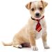 BIPY 30pcs Dog Neckties Collar Bow Tie Set for Small Medium Large Cats - Paw Printed Neck Ties for Parties, Birthdays, and Weddings - Buy Online on GoSupps.com