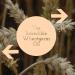Buy Greenwood Essential Natural Wheat Germ Oil - Cold-Pressed Therapeutic Quality (Pack of 2 100ml) - International Shipping Available - Buy Online on GoSupps.com